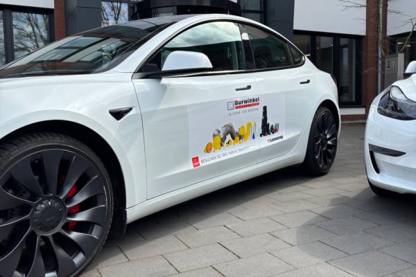 Polierte Teslas