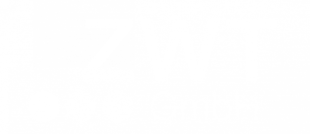 https://zwt-gmbh.de/